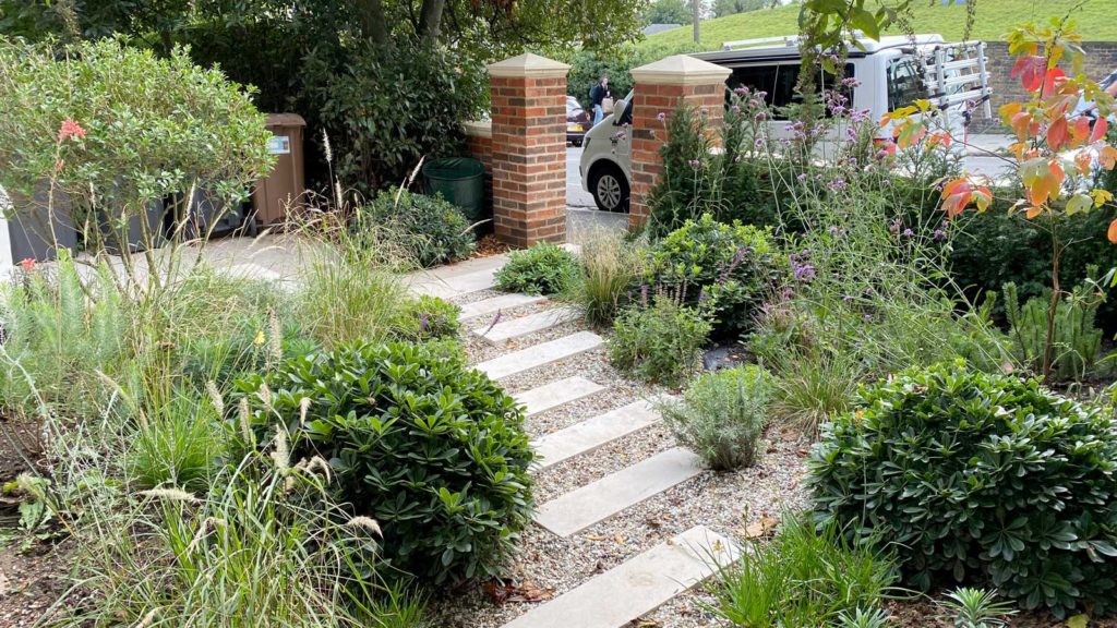 Front Garden in Crouch End, 3