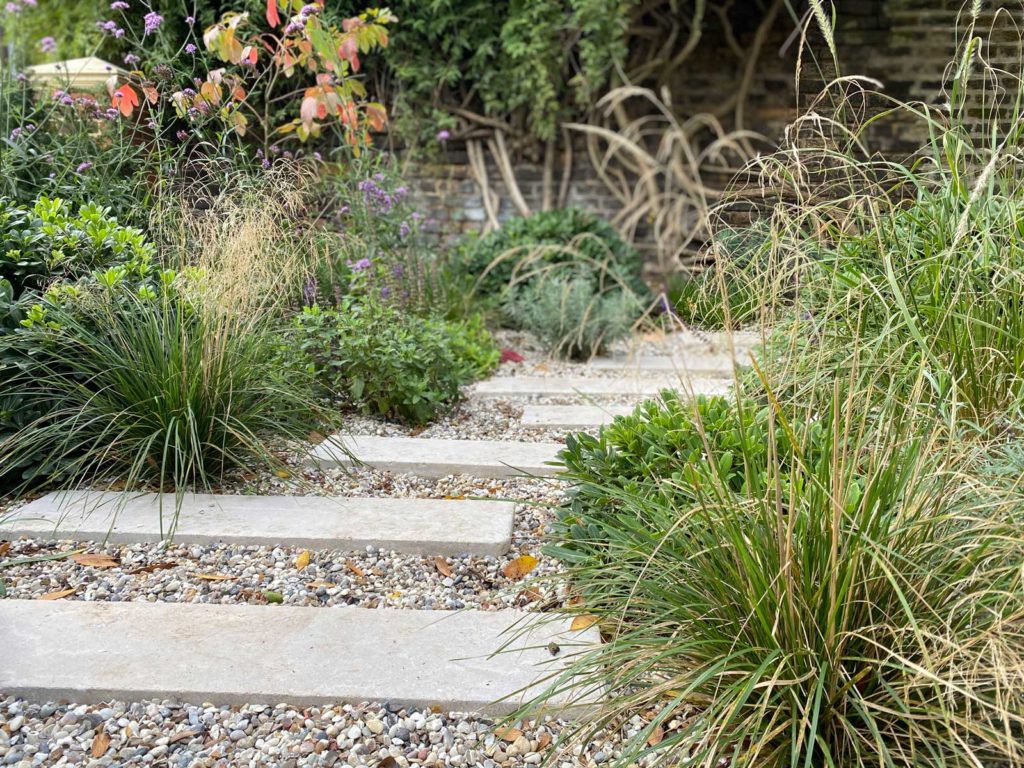 Front Garden in Crouch End, 5