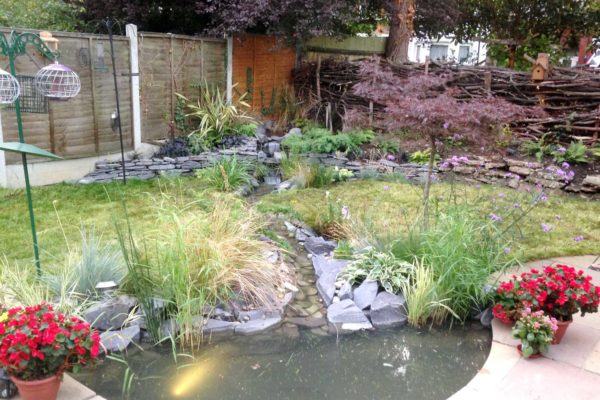 Garden pond in North London