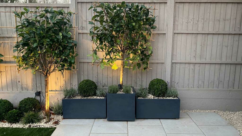 Back Garden in Radlett - patio and planters