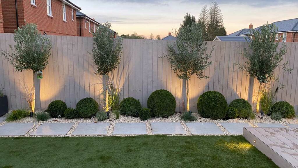 Back Garden in Radlett - path and backlit trees